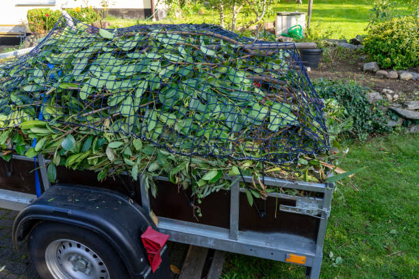 Best Attic Cleanout  in Weedsport, NY